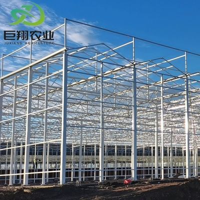 US 40/ピース 農業 温室建設 トマト用のポリカーボネートシート