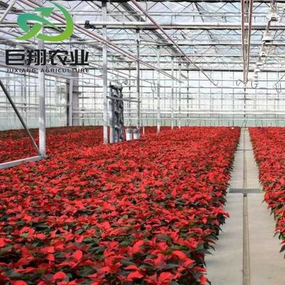 US 40/ピース 農業 温室建設 トマト用のポリカーボネートシート