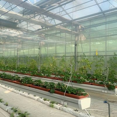 農作物全年生産のための平方メートルの水培膜温室施設
