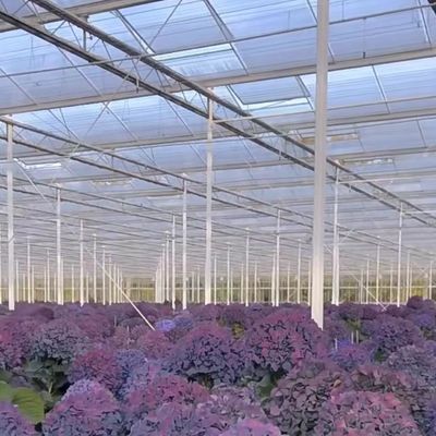 ホットDIPガルバン化鋼ガラス温室 JX-A0082 商業温室市場向け
