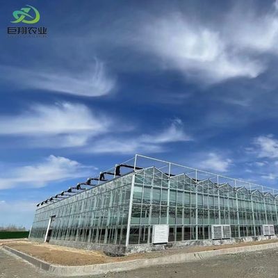 水栽培野菜/花/果物/庭園のためのガラスで覆われた二層温室