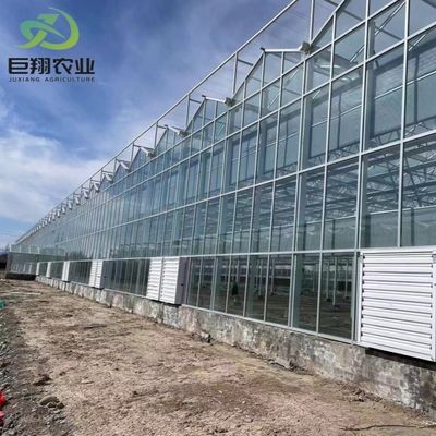水栽培野菜/花/果物/庭園のためのガラスで覆われた二層温室