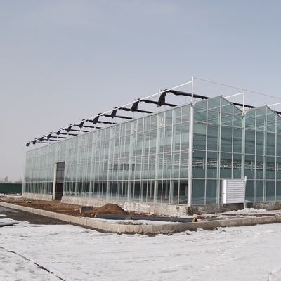 水栽培野菜/花/果物/庭園のためのガラスで覆われた二層温室