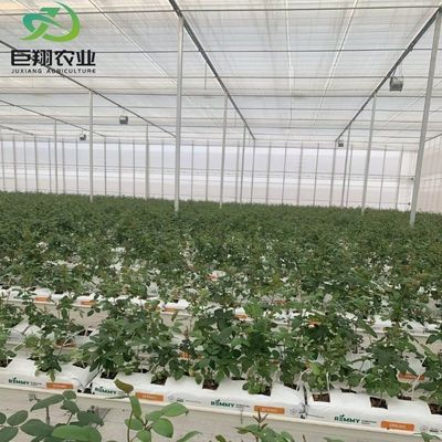 カスタマイズされた農業と農業のための気候制御システムを持つ二層ガラス