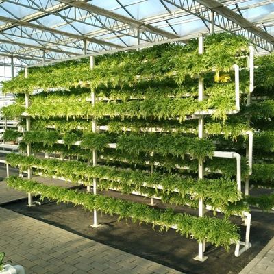 給水と卓越した顧客サービスを持つガルバनाइズド鋼管ガラス温室