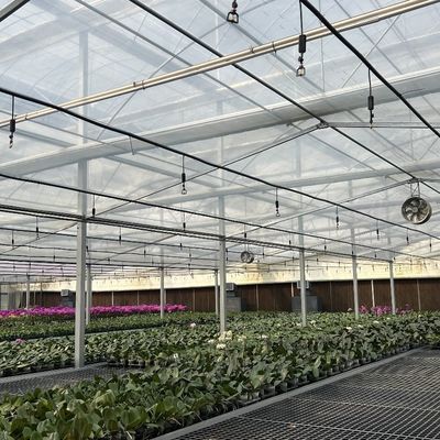自動制御システムを持つ大きなベンロ様式ガラス農業温室