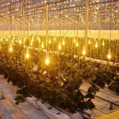 植物の解決策のための二層水噴霧制御照明温室