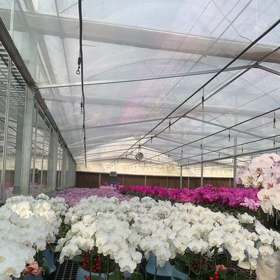 植物の解決策のための二層水噴霧制御照明温室