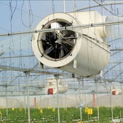 植物の解決策のための二層水噴霧制御照明温室