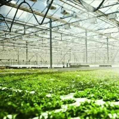 植物の解決策のための二層水噴霧制御照明温室