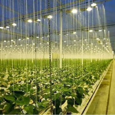 ガラスのカバー JX-GG-12 シャドーされた水培植種植施設 照明温室 ジュキヤン