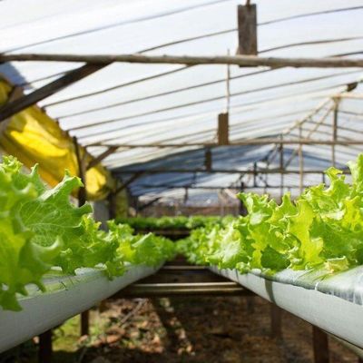 水素種植施設 室内遮光フィルム 室外遮光付き温室
