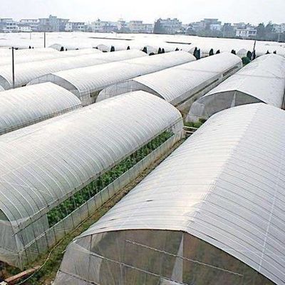水素種植施設 室内遮光フィルム 室外遮光付き温室