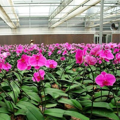 水素種植施設 室内遮光フィルム 室外遮光付き温室