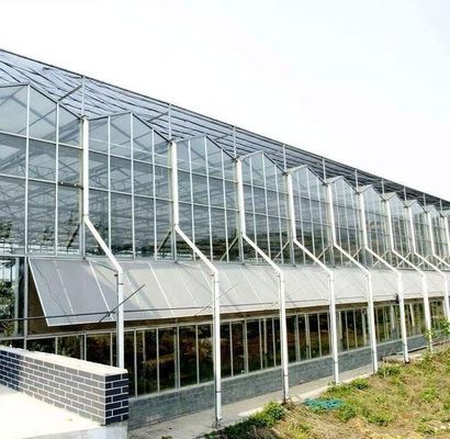 水耕栽培方法 商業用暖房 庭園 植物のガラス温室