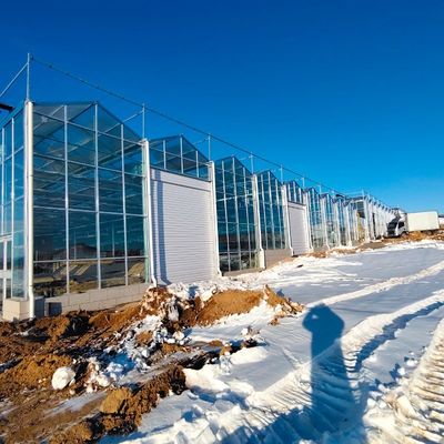 大規模な野菜生産と大きなサイズのための合理的な価格のガラス温室