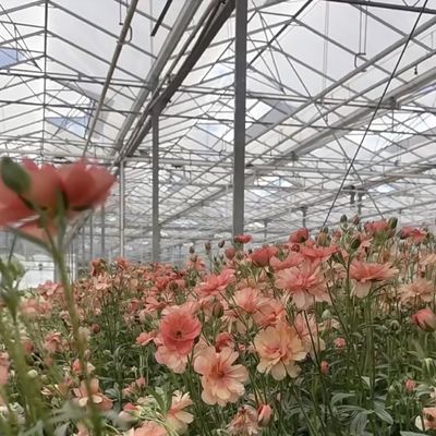 二層ガラス温室の花の屋根 50.00cm * 60.00cm * 80.00cm パッケージサイズ
