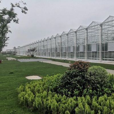 鋼鉄構造 滴滴灌水 植物のためのガラス温室 屋根 型屋根