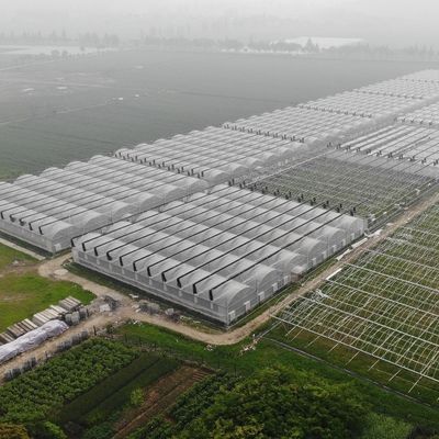 太陽光温室 100% ブラックアウト 自動照明欠乏温室 カナダ / 米国