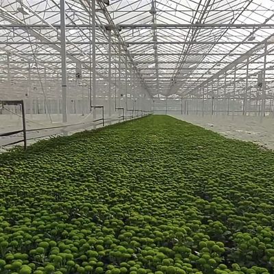 あなたの仕様に合わせて作られた花のためのカスタマイズされた二層多層ガラス温室