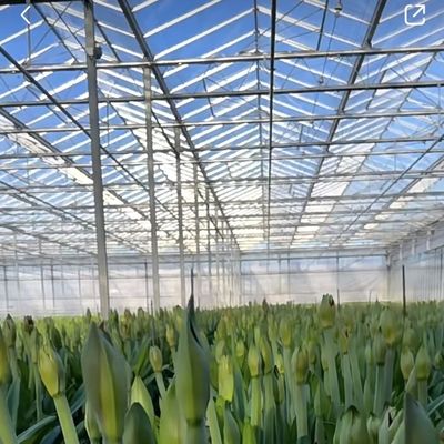 マルチスペンシェーディングスクリーンシステム ガラス温室パッケージ サイズ 50.00cm * 60.00cm * 80.00cm