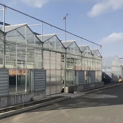 単層 ガラス 温室 の 園芸 専用 施設