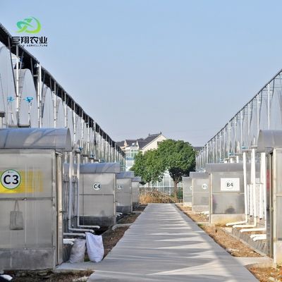 8m 9.6m 12m カスタマイズされたスパンフィルム 水栽培栽培システムによるプラスチック農業