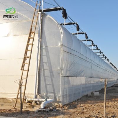 8m 9.6m 12m カスタマイズされたスパンフィルム 水栽培栽培システムによるプラスチック農業