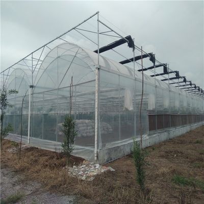 ストロベリー/花/野菜のための水栽培灌木システム 多スパンフレーム 鋼製 プラスチック製 ガルバン化温室