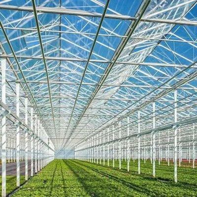 太陽光温室 マルチスペン 水栽培 プラスチックフィルム温室 商業農園用
