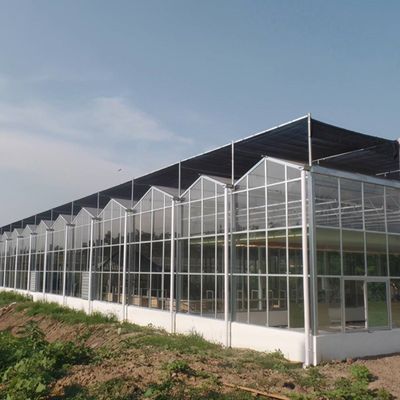 太陽光温室 マルチスペン 水栽培 プラスチックフィルム温室 商業農園用