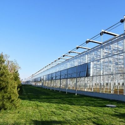太陽光温室 マルチスペン 水栽培 プラスチックフィルム温室 商業農園用
