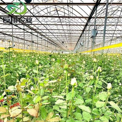 マルチスペン水栽培 プラスチックフィルム 商業用農場用農業温室