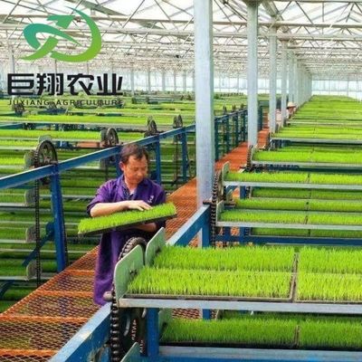 マルチスペン水栽培 プラスチックフィルム 商業用農場用農業温室