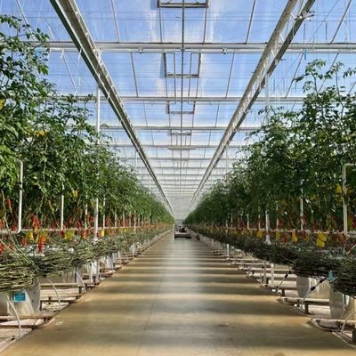 植物栽培用の花のガラス温室 屋根 型屋根