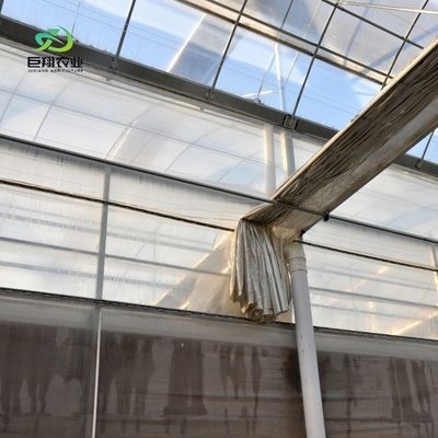 多層水栽培 プラスチックフィルム 商業用農場用農業温室
