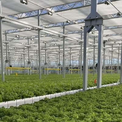 植物栽培のための環境に優しい大きなガラス温室オアシスソリューション
