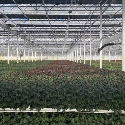 植物栽培のための環境に優しい大きなガラス温室オアシスソリューション