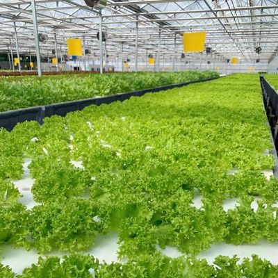 グラス温室の活気のある庭 リース料と温室