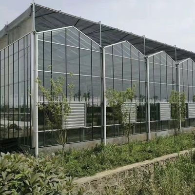 温室の二層層の屋根裏には,良質な光伝達と多幅機能があります.