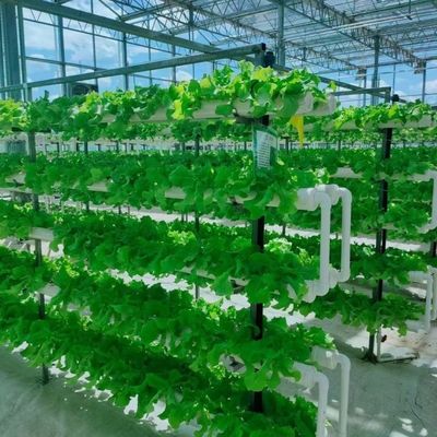 温室の二層層の屋根裏には,良質な光伝達と多幅機能があります.