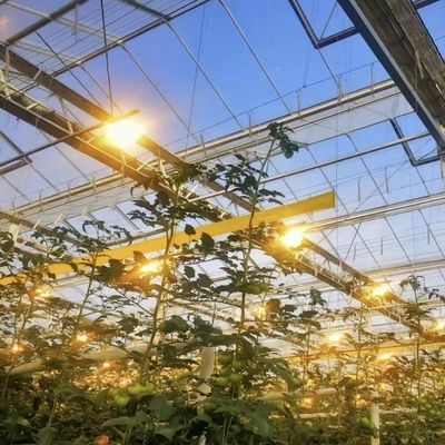 競争力のある初期支払い 植物のオアシスのための温室 囲い型屋根