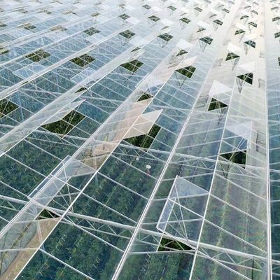 競争力のある初期支払い 植物のオアシスのための温室 囲い型屋根