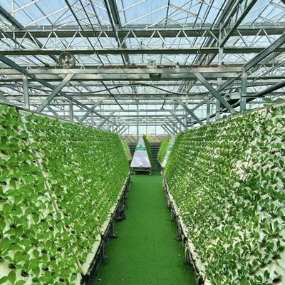 競争力のある初期支払い 植物のオアシスのための温室 囲い型屋根