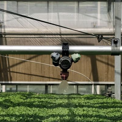 双層 液体 グラス 温室 花 栽培 価格 も 安く 耐久 性 も 高い