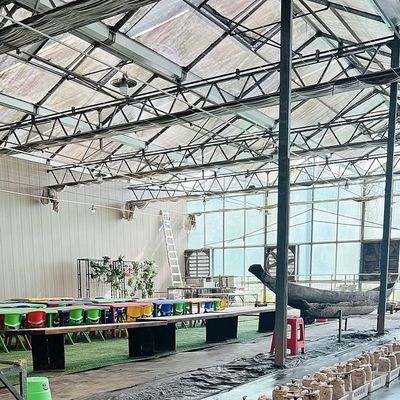 大型温室水栽培システムと性能パッケージ 総重量100,000kg