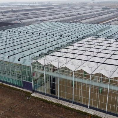 大型温室水栽培システムと性能パッケージ 総重量100,000kg