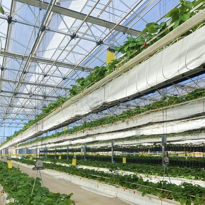 パッケージ サイズ 50.00cm * 60.00cm * 80.00cm グラス温室 花の水栽培