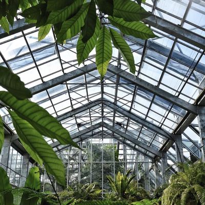 植物栽培のための水培式ガラス温室 30 日間の返品 型屋根の返金