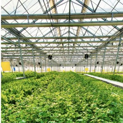 植物栽培のための水培式ガラス温室 30 日間の返品 型屋根の返金